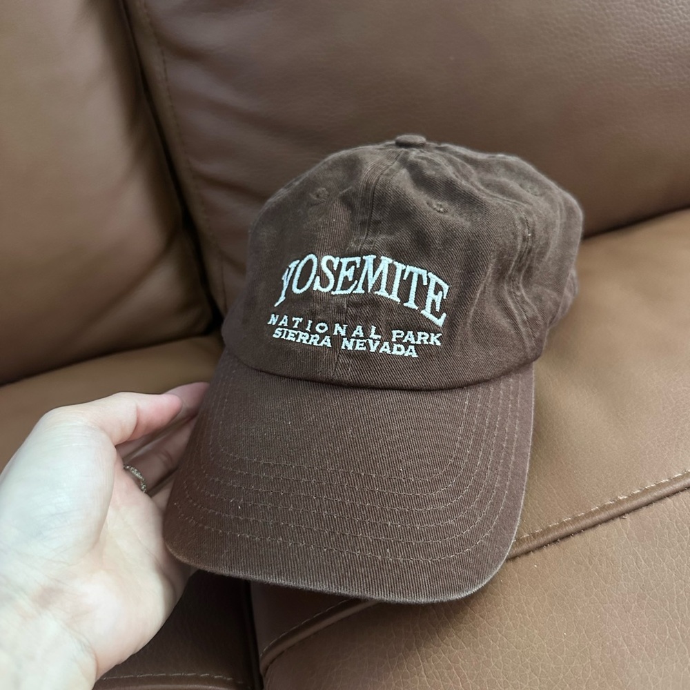 Brandy Melville Brown Hat Classic Style